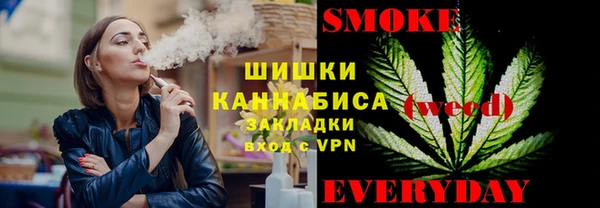 PSILOCYBIN Бронницы