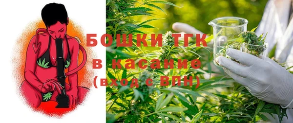 PSILOCYBIN Бронницы